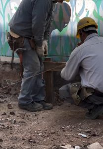 WhatsApp Image 2024-08-20 at 18.33.41