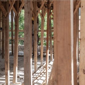 WhatsApp Image 2024-08-20 at 18.33.43